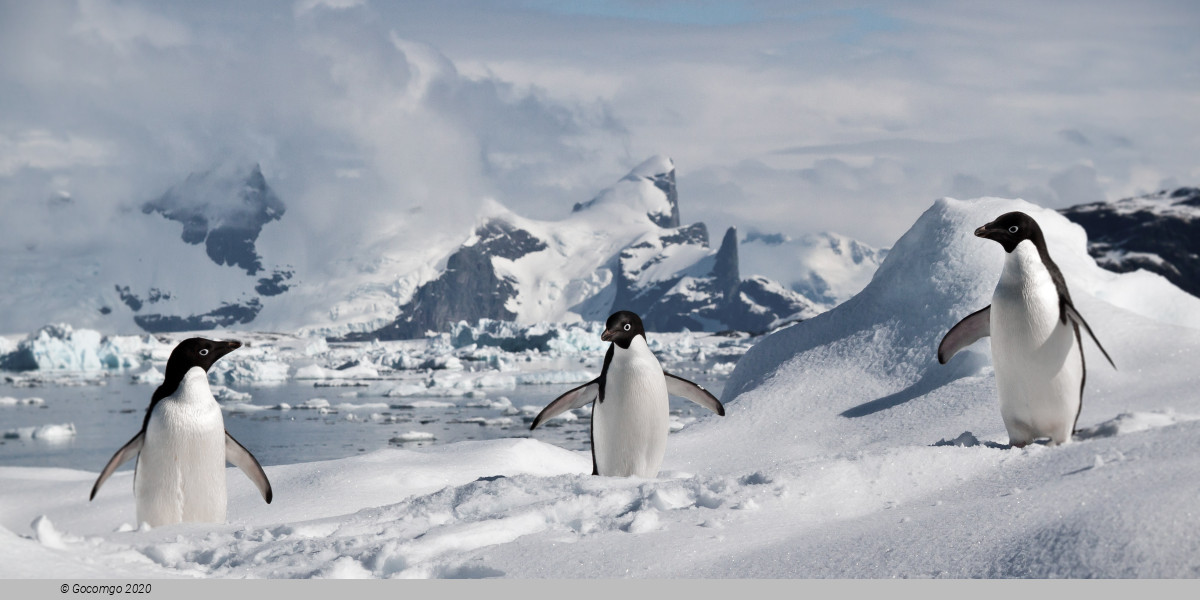 South Shetland Islands