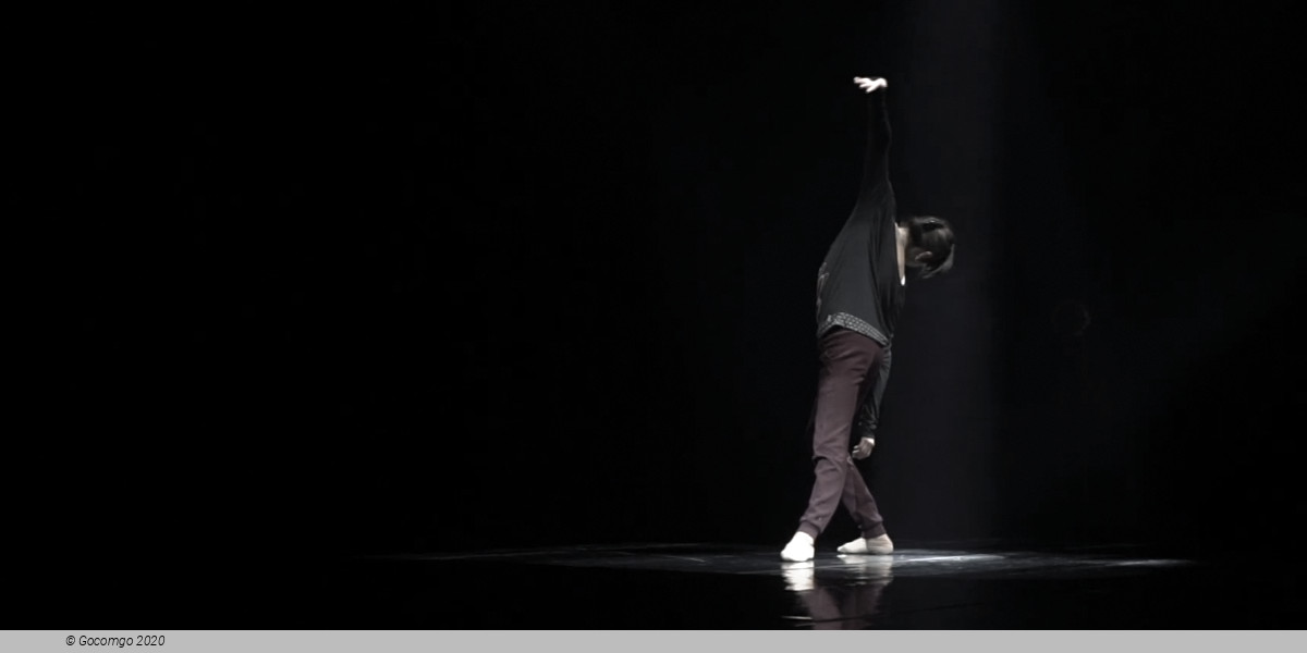 Nomad Ballet  "Four Truths – One Eternity", photo 8