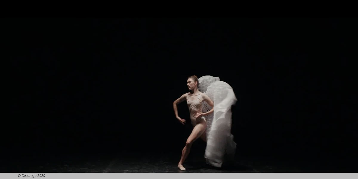 Tchaikovsky Spectacular with Fireworks, photo 1