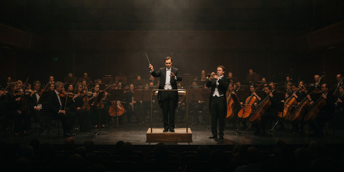 Strauss Also sprach Zarathustra, photo 1