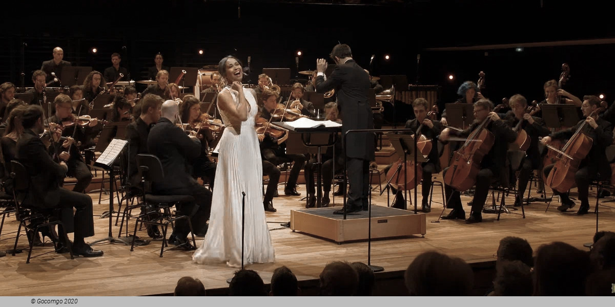 Stars Gala Musical Star Concert - Special Edition, photo 1
