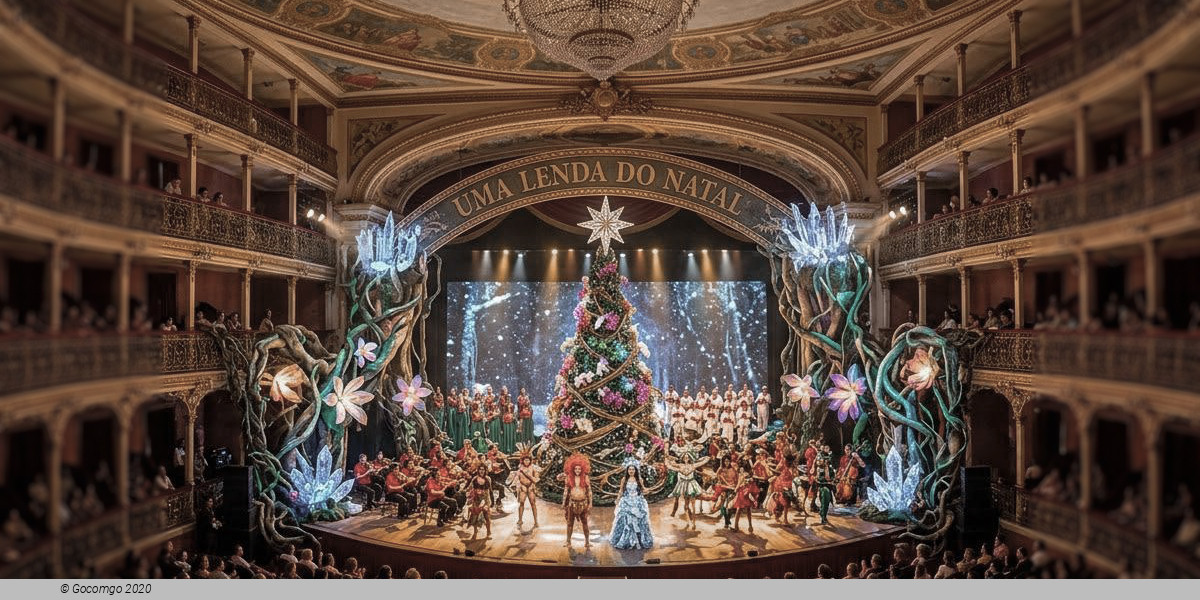 A Christmas legend, photo 2