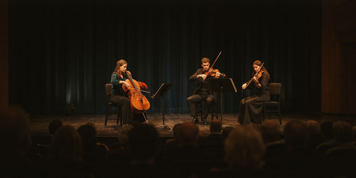 Ryelandt Trio, photo 1