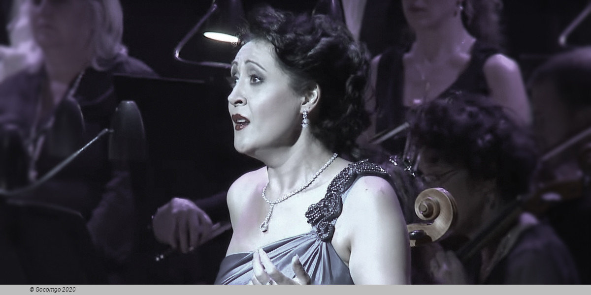 The Opera Gala On New Year`s Eve, photo 1