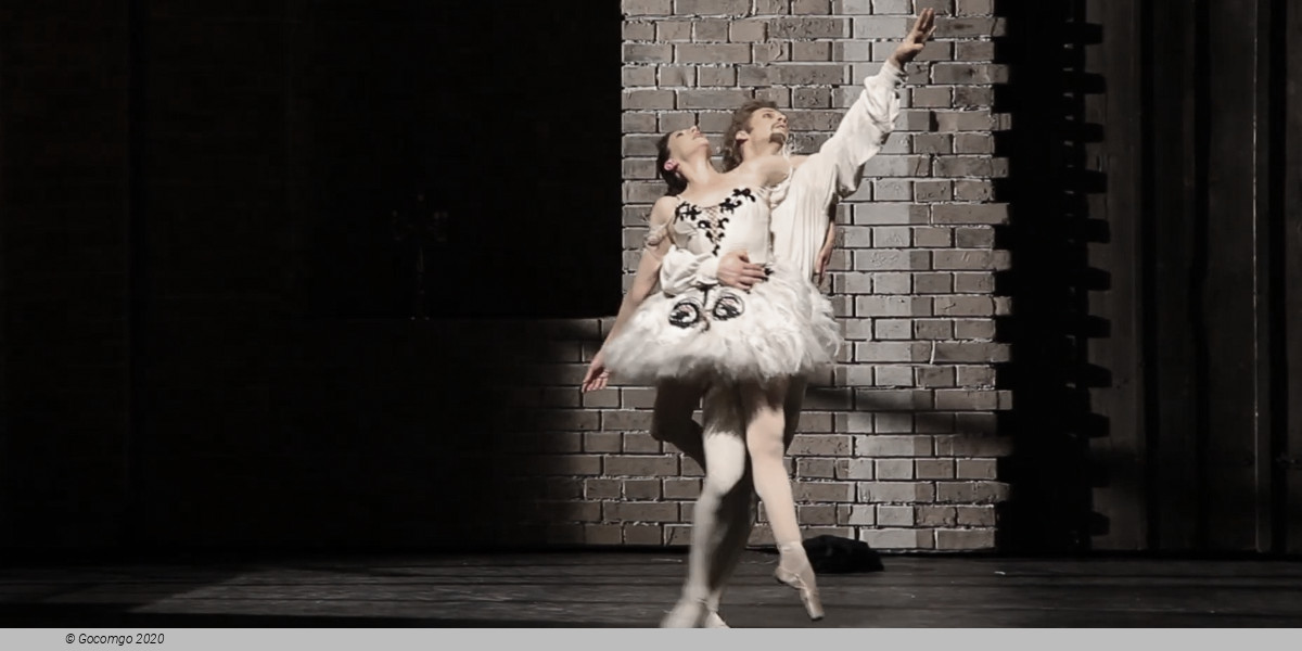 The World of John Neumeier, photo 11