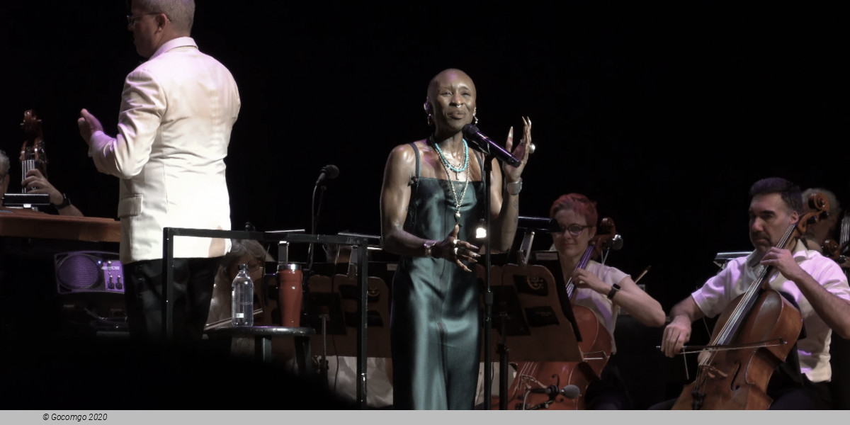 Ravinia Festival, photo 5