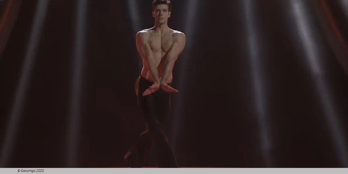 Roberto Bolle, photo 1