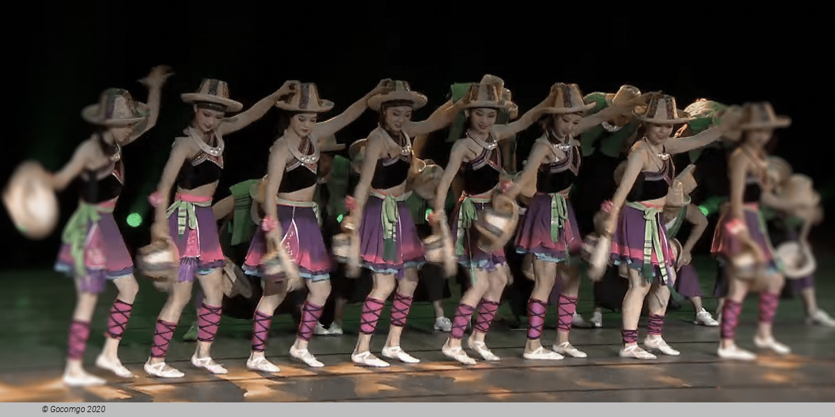 Shanghai Acrobatic Dome schedule & tickets Shanghai Acrobatic Dome schedule & tickets