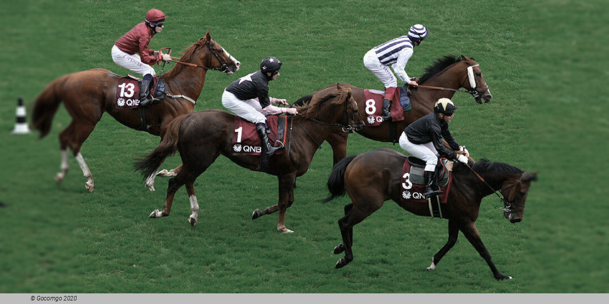 Longchamp Racecourse schedule & tickets Longchamp Racecourse schedule & tickets