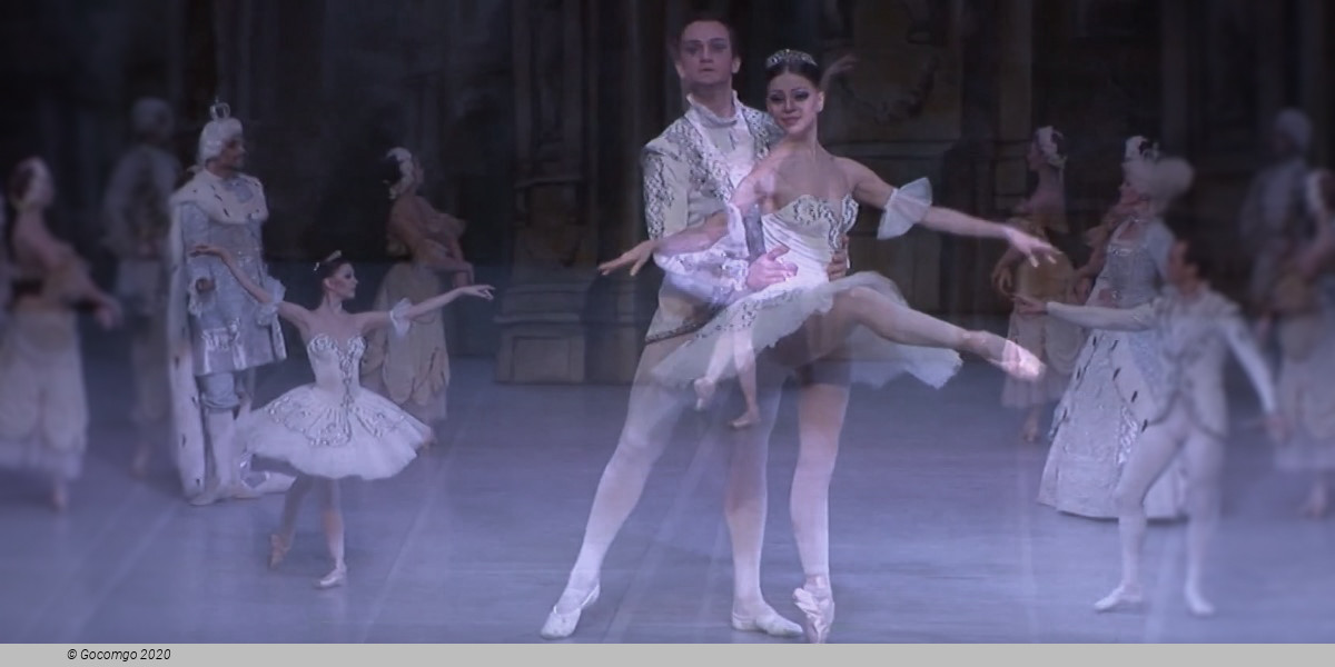 The Sleeping Beauty, photo 4