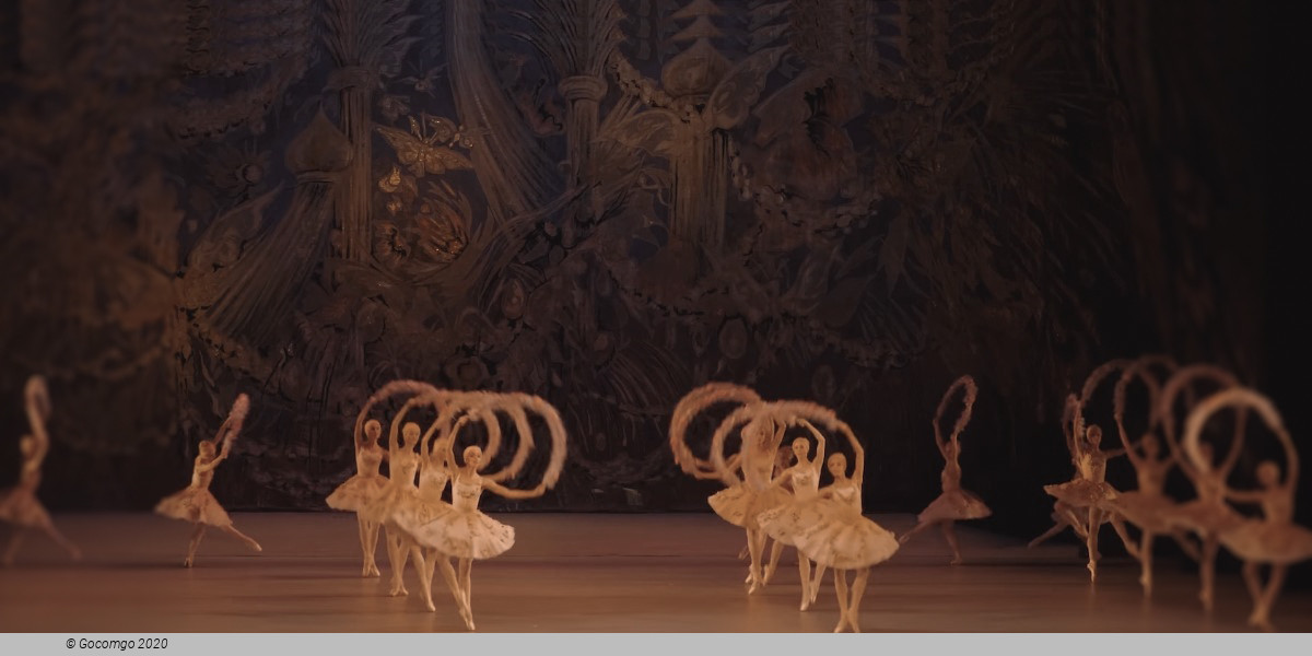 Le Corsaire. Performance by the Primorsky Stage of the Mariinsky Theatre, photo 4
