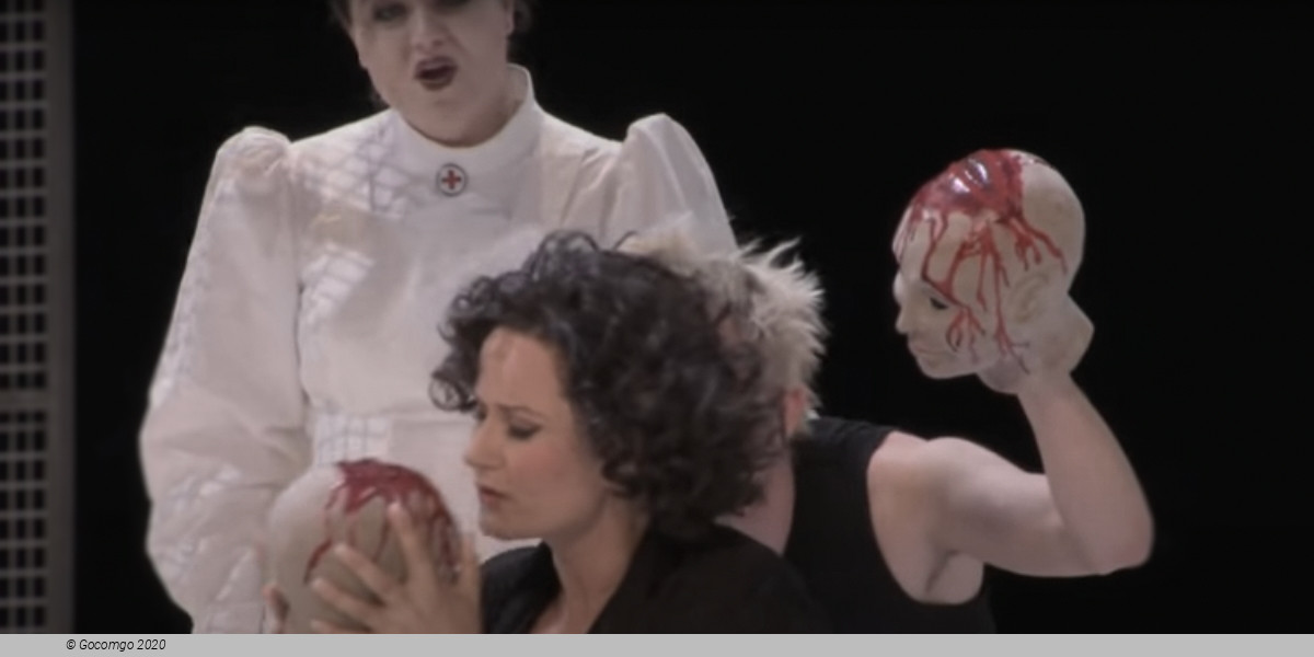 Ariadne Auf Naxos, photo 5