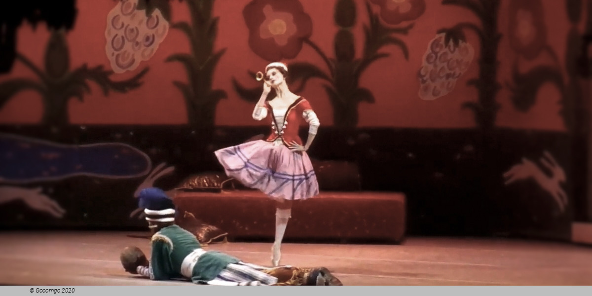 Petrouchka The Firebird, photo 1