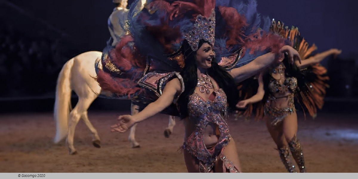 Scene 6 from the show "Cavalluna", photo 6