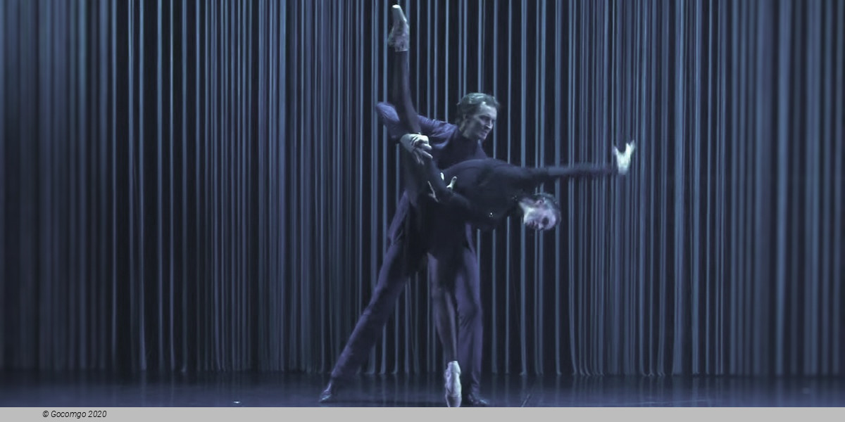 The Seagull. A Ballet Story, photo 2