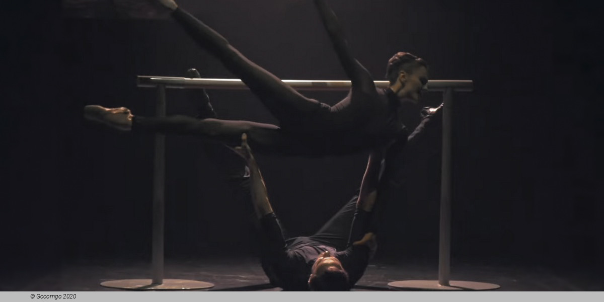 The Seagull. A Ballet Story, photo 5