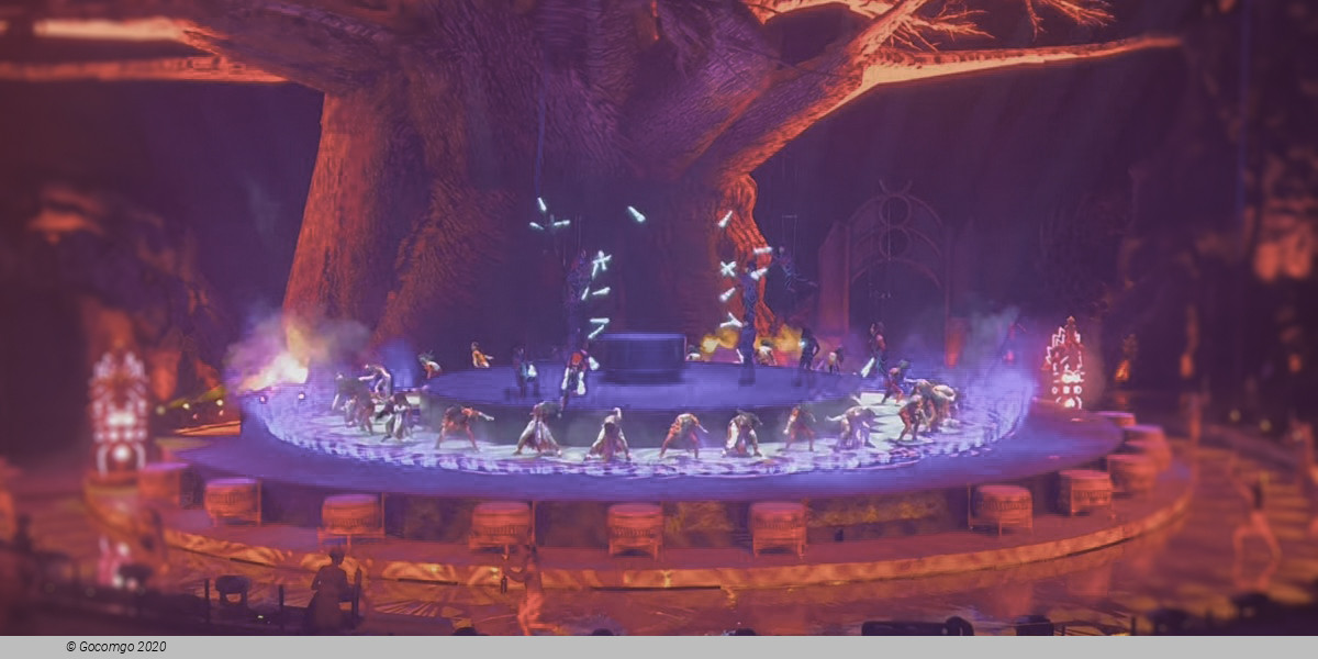 Chimelong International Circus