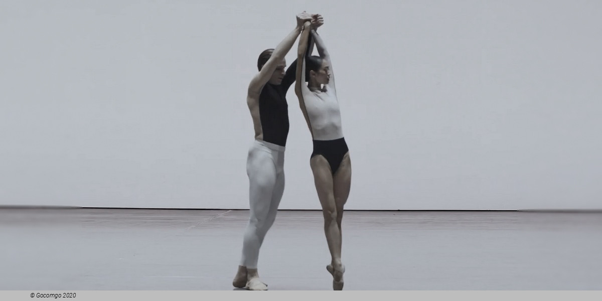 An evening of modern ballet "Contrasts": O złożony / O composite. If you couldn’t see me. Anima Animus. Drift Wood, photo 4