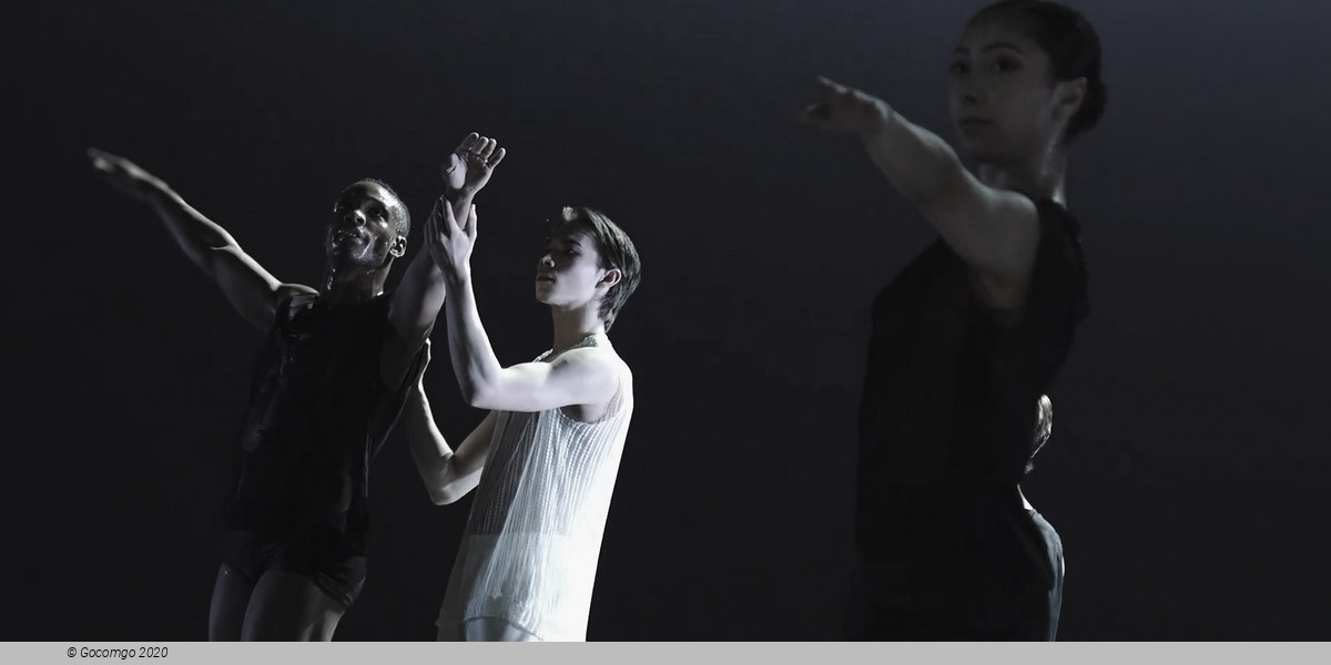 An evening of modern ballets "The Butterfly Effect": A Question of Time. What if?. Point of No Return, photo 6