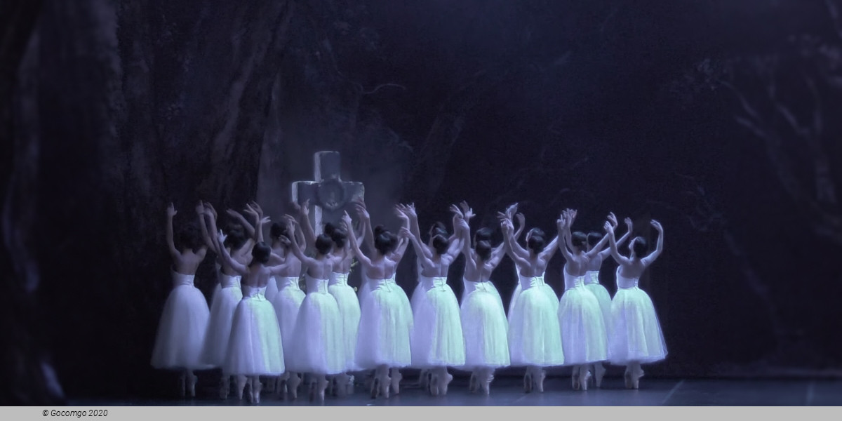 Giselle, photo 5