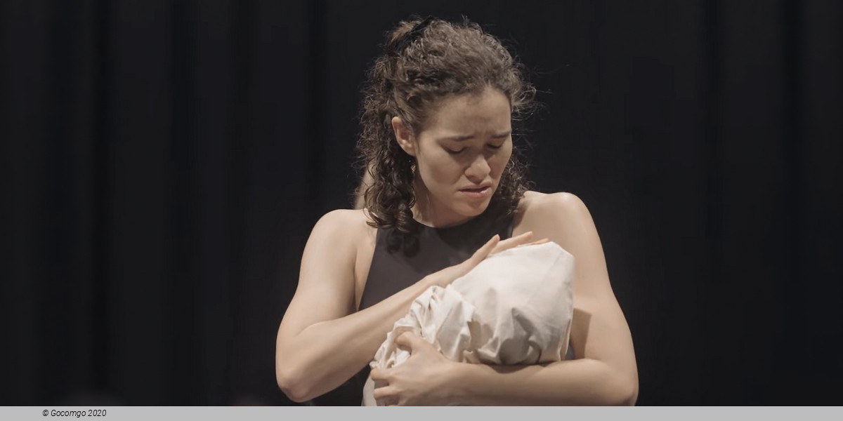 The Drover’s Wife, photo 2