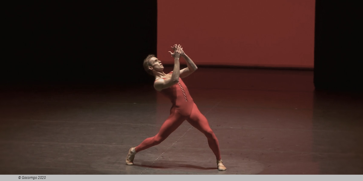 Red Angels, photo 11