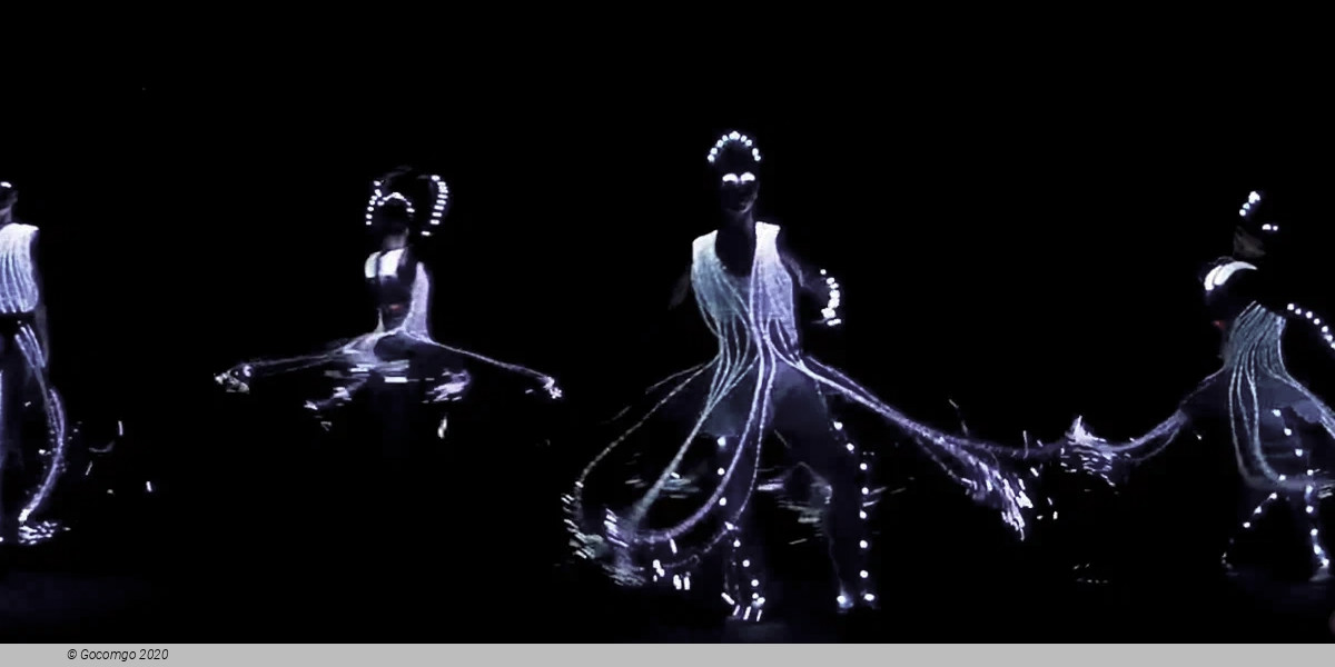 Ballet of Lights: Sleeping Beauty in a dazzling spectacle, photo 3