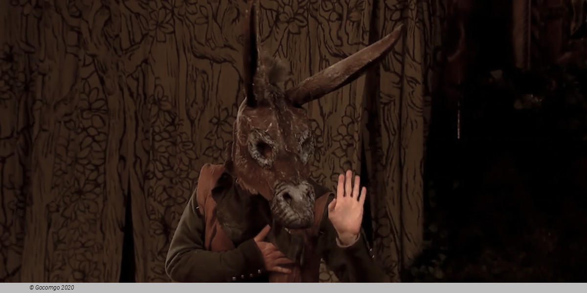 A Midsummer Night’s Dream, photo 3