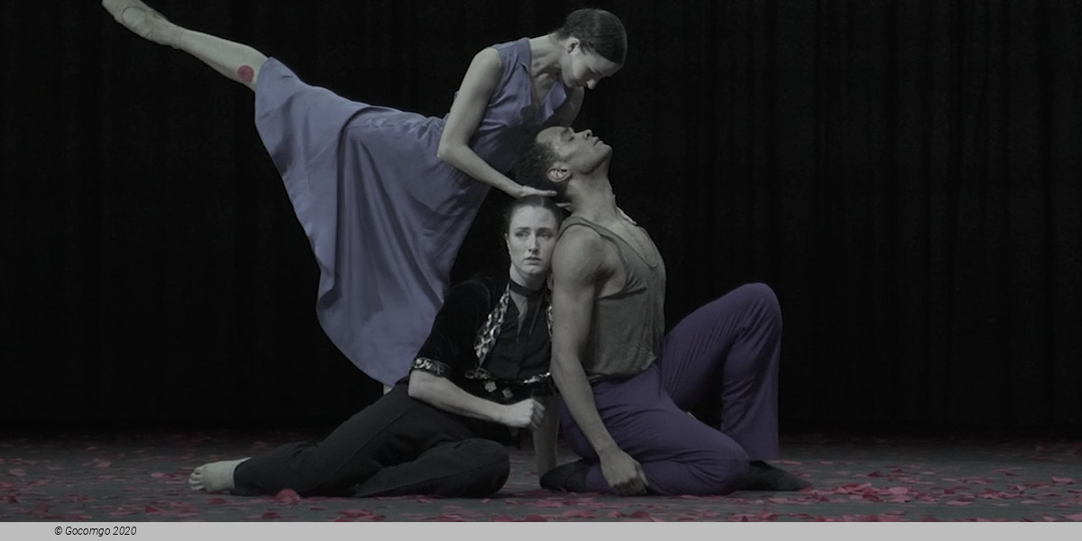 Creation Cathy Marston