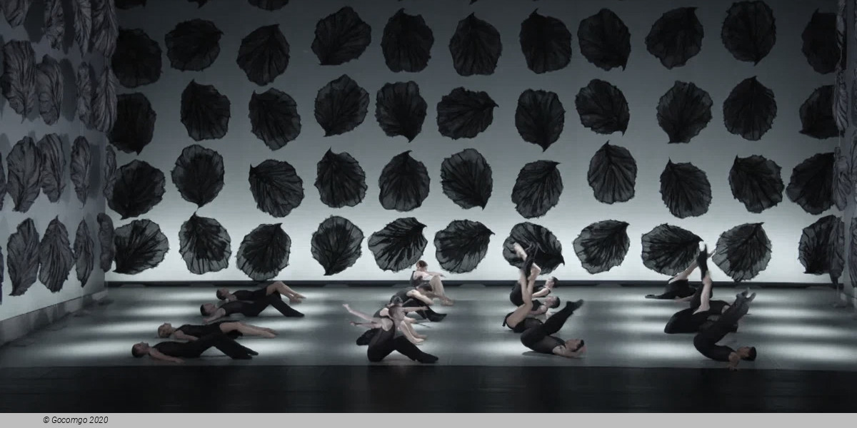 Malandain Ballet Biarritz: L'Amour Sorcier et Don Quichotte