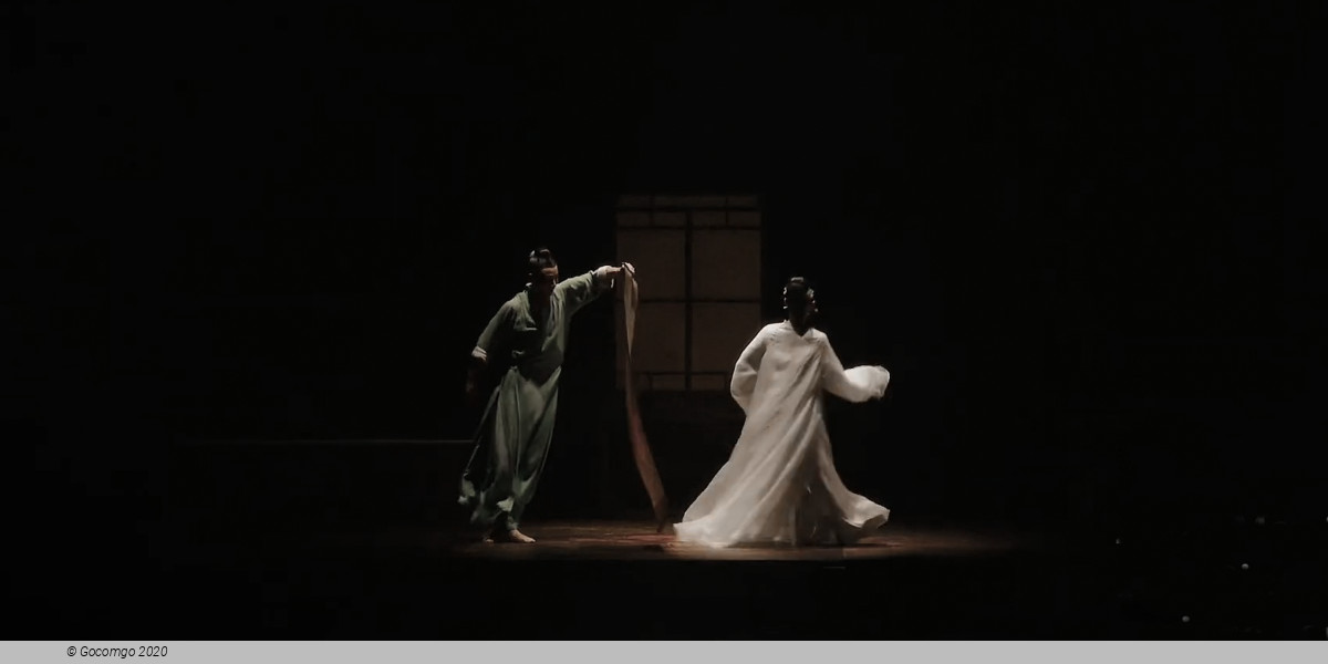 Dream in Peony Pavilion
