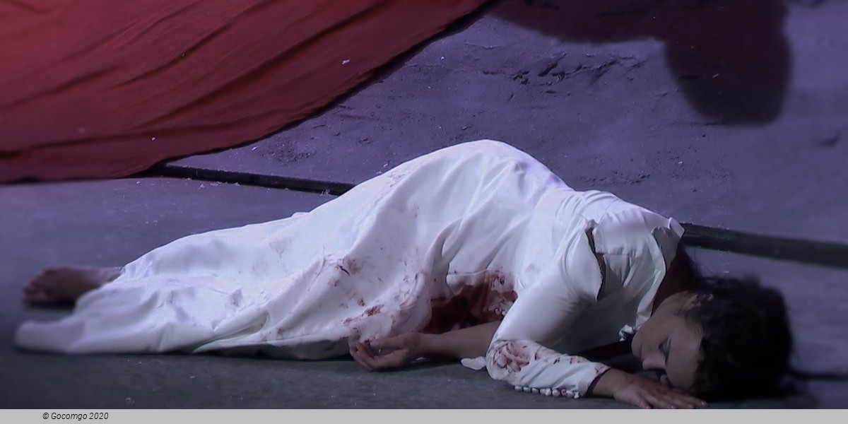Lucia di Lammermoor, photo 4