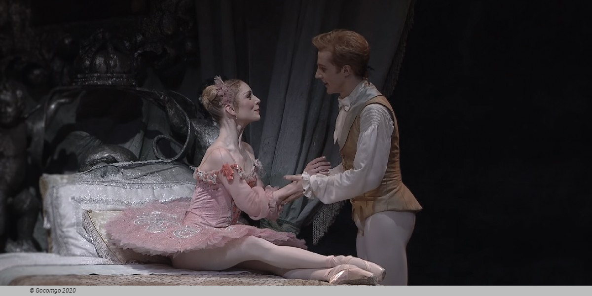 The Sleeping Beauty, photo 1