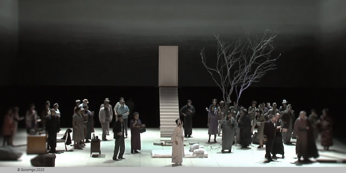 Madama Butterfly, photo 6