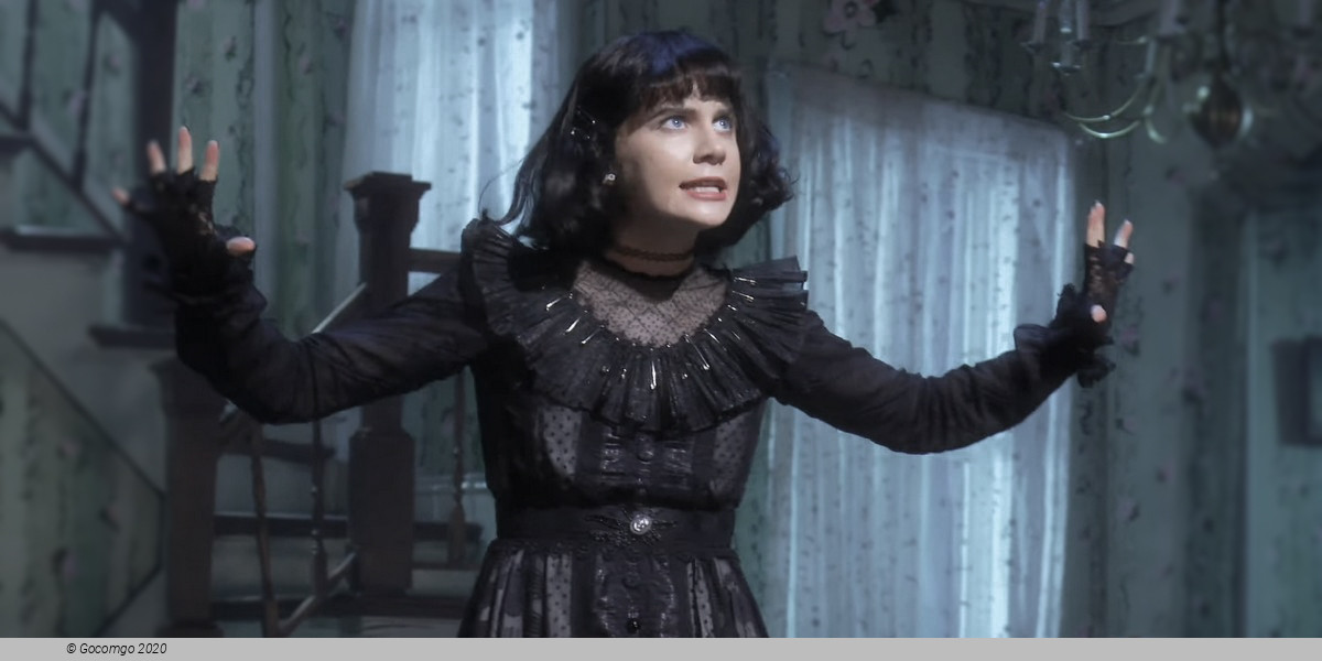 Scene 5 from the musical "Beetlejuice", photo 5