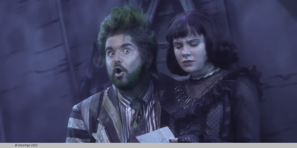 Scene 7 from the musical "Beetlejuice", photo 7