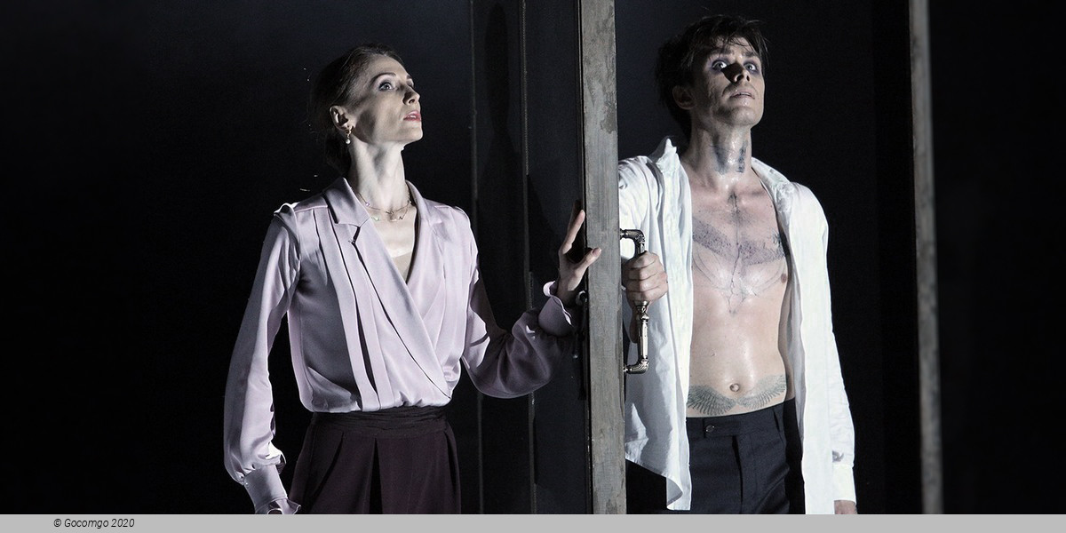 Scene 6 from the ballet "The Seagull", photo 6