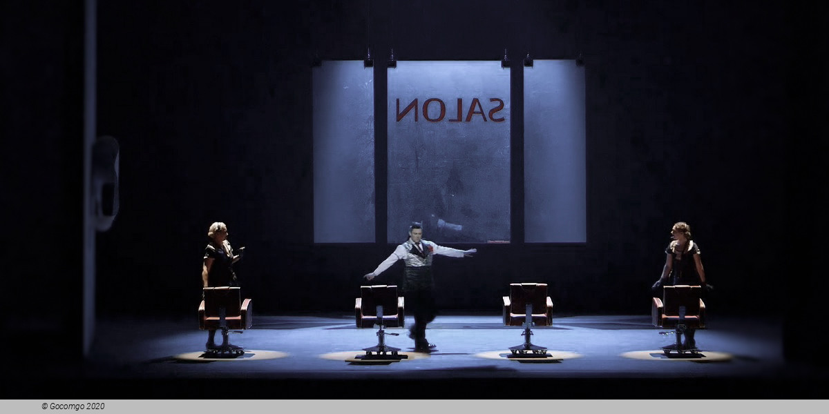 Figaro Gets a Divorce, photo 4