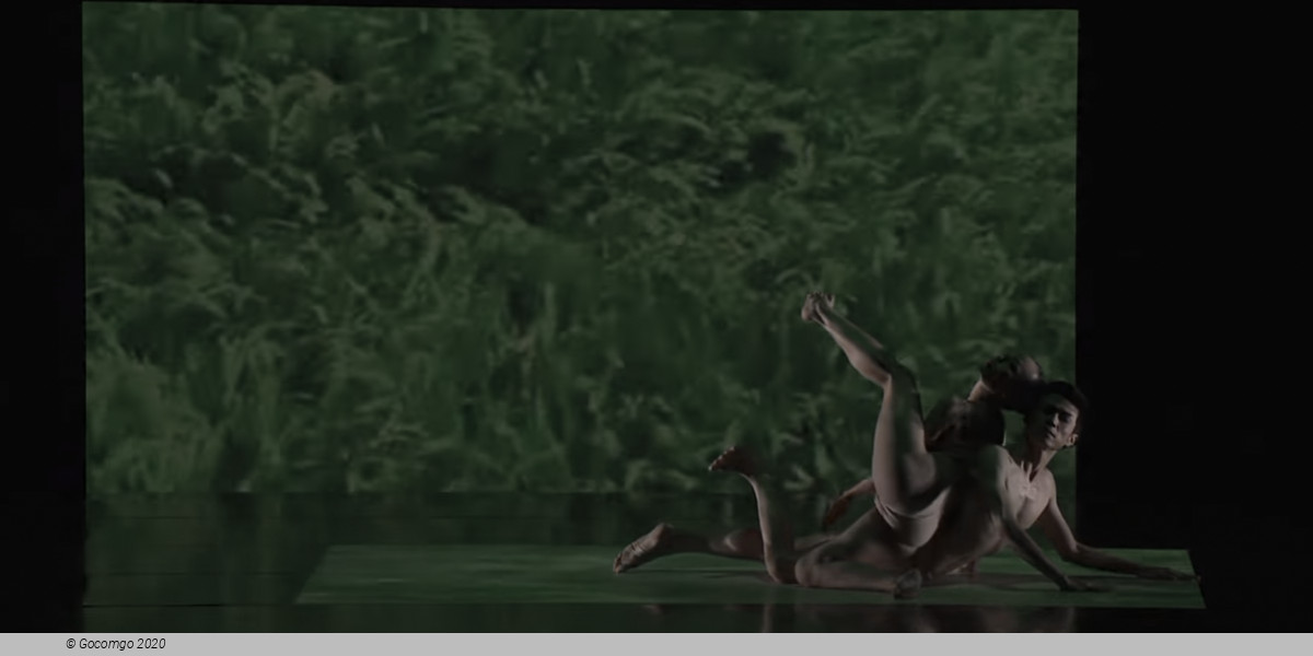 Cloud Gate, photo 17