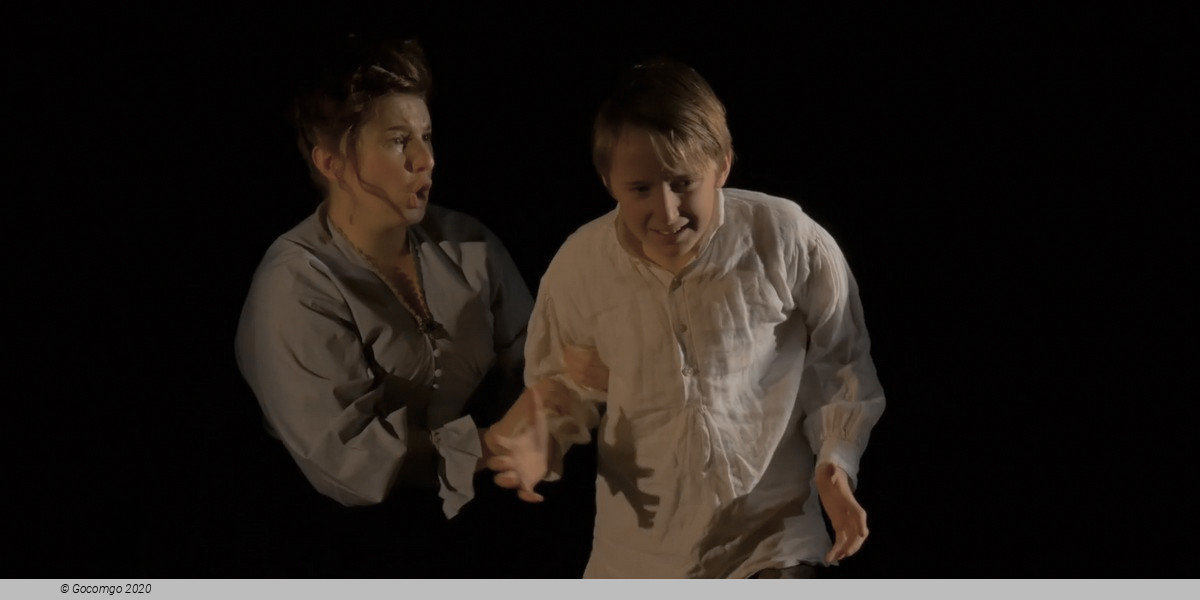 Scene 8 from the opera "The Turn of the Screw", photo 9