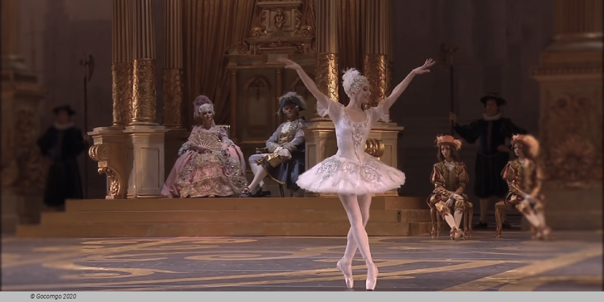 Scene 8 from the ballet "The Sleeping Beauty", photo 11
