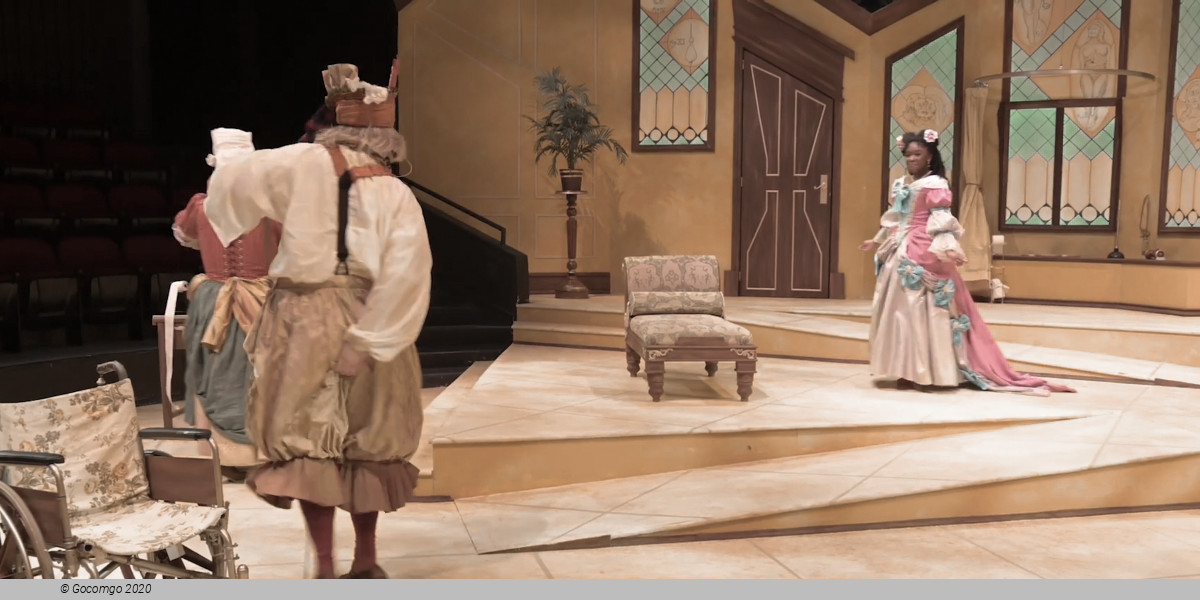 The Imaginary Invalid, photo 4