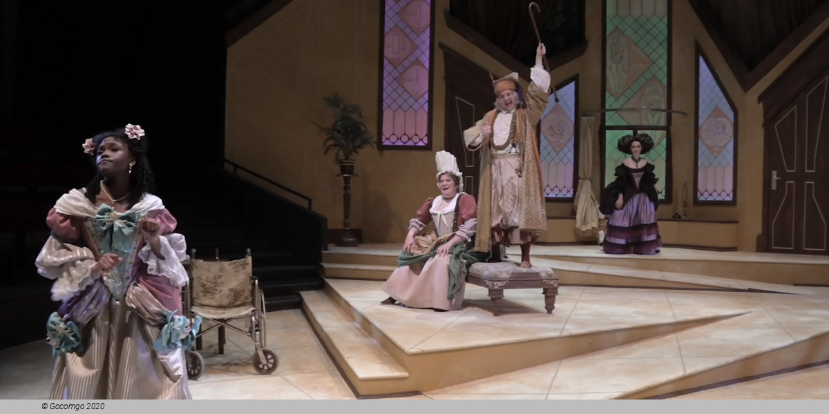 The Imaginary Invalid, photo 8