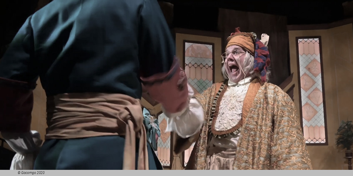 The Imaginary Invalid, photo 12