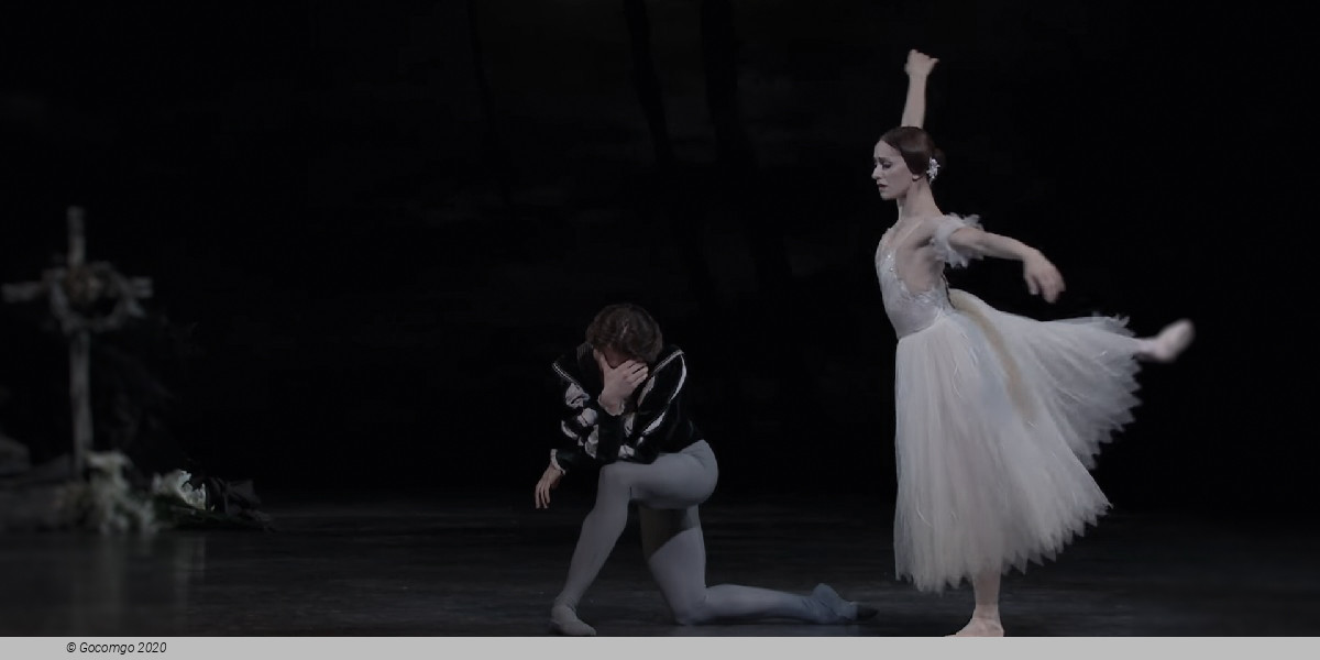 Giselle, photo 8