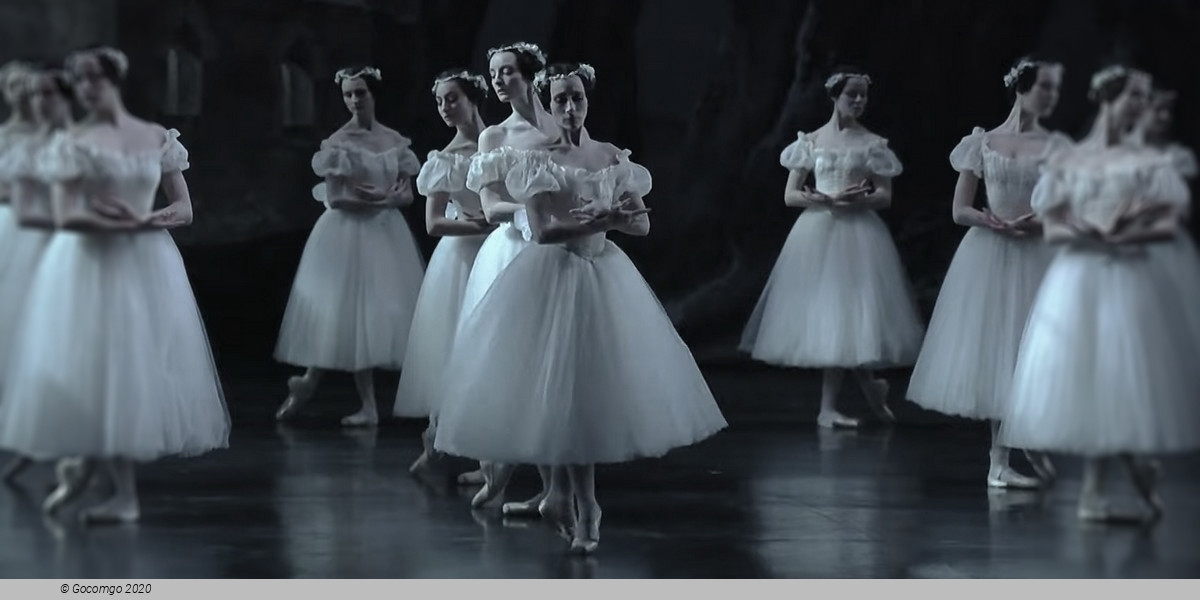 Giselle, photo 10