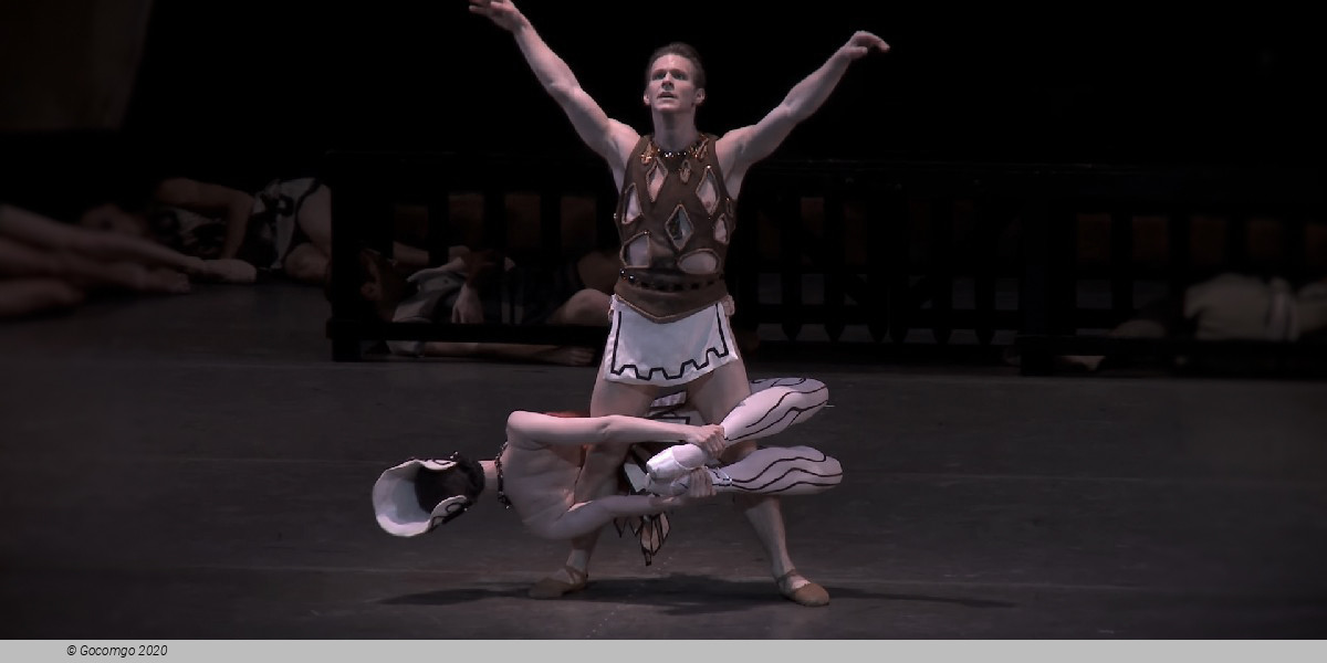 Scene 4 from the ballet "The Prodigal Son", photo 4