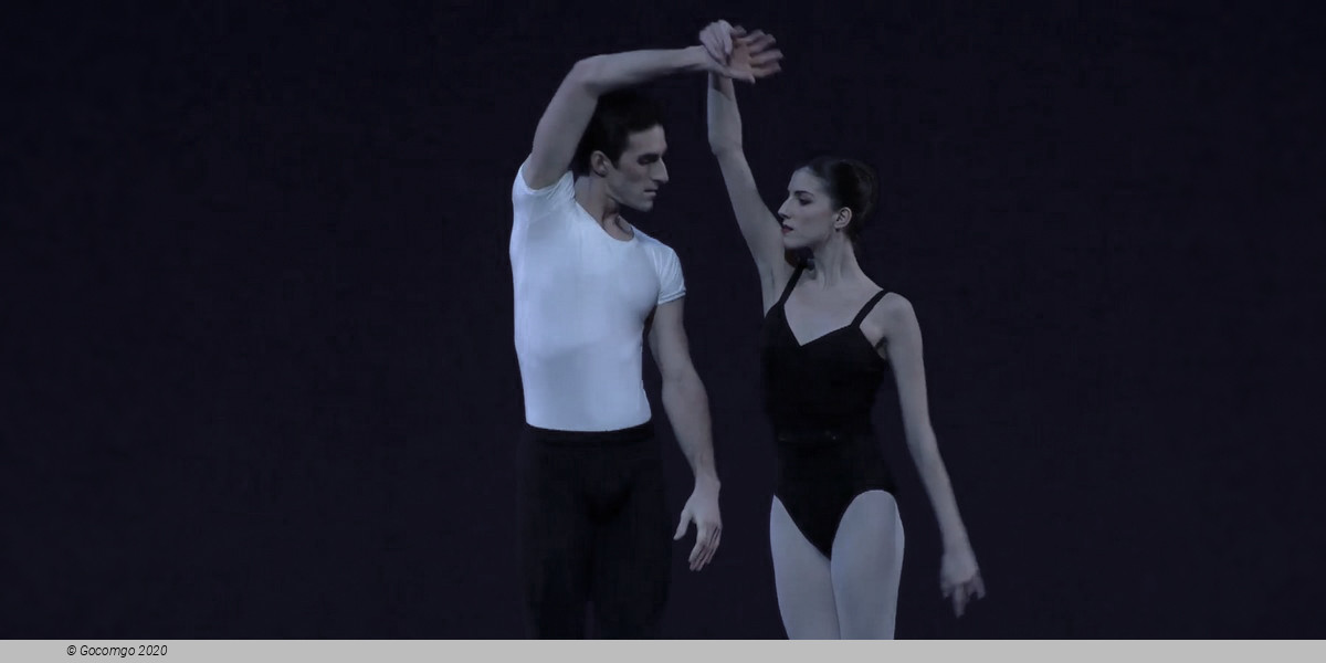 Scene 4 from the modern ballet "The Four Temperaments", photo 15