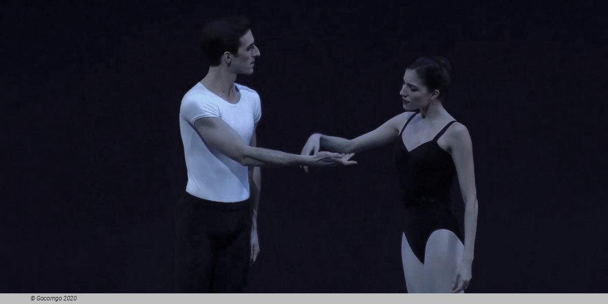 Scene 5 from the modern ballet "The Four Temperaments", photo 8