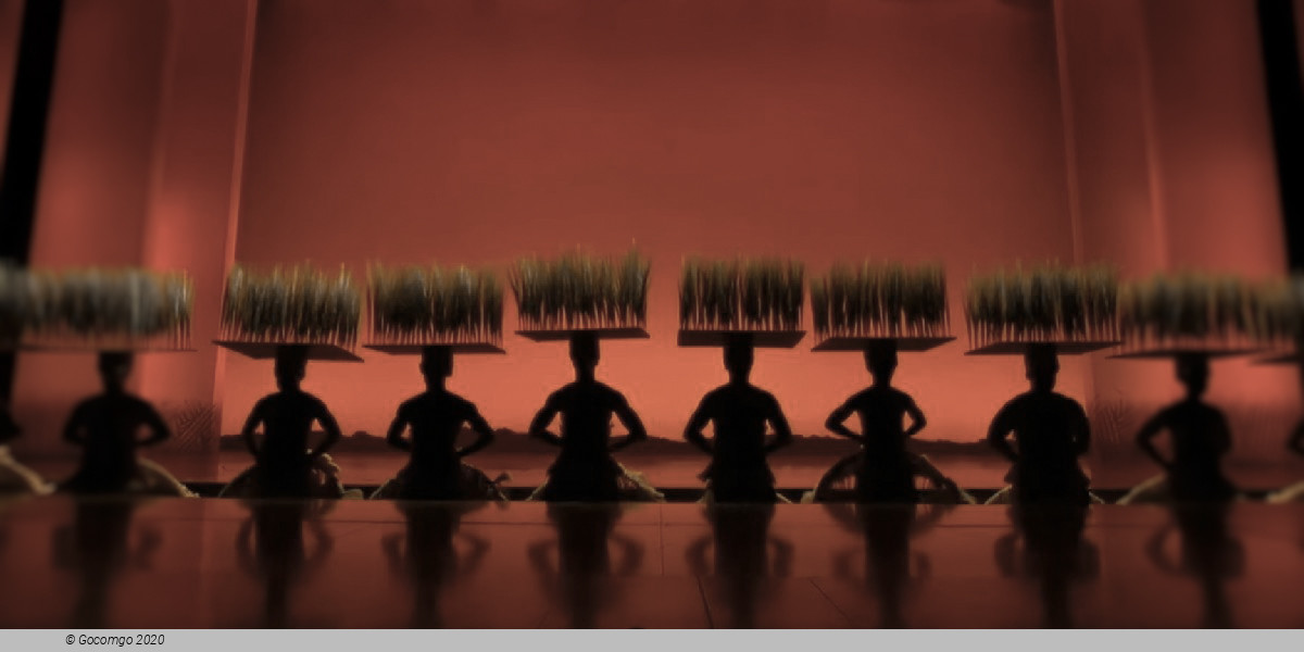 Scene 4 from the musical "The Lion King"